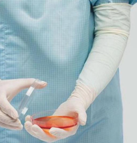 High Quality Disposable Sterile Latex Gynecological Gloves